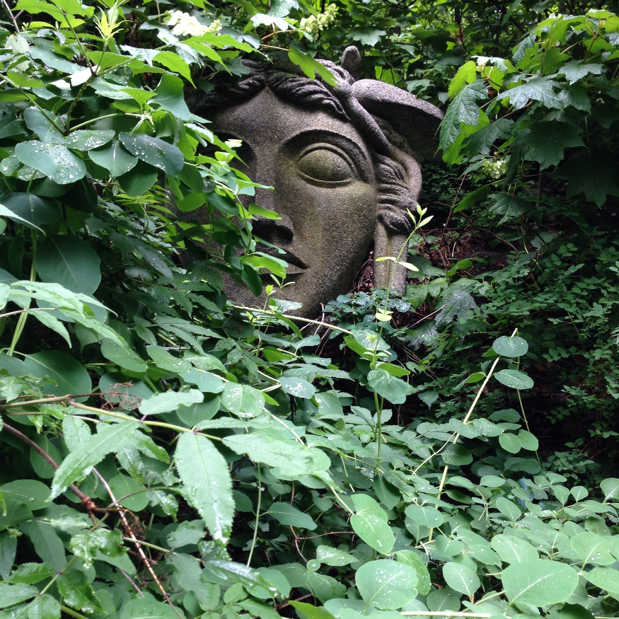 Cleveland Botanical Gardens, 21 June, 2014